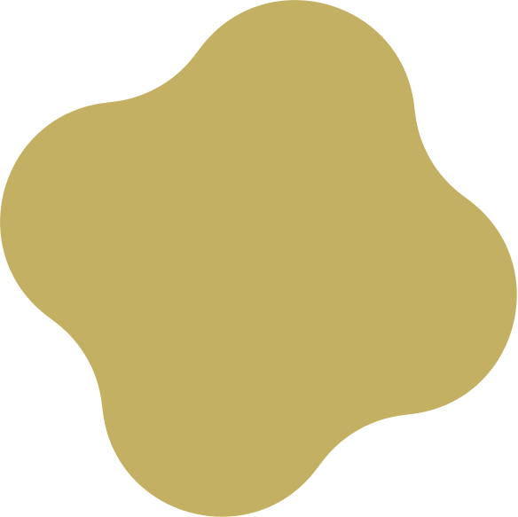 Monet Vector B